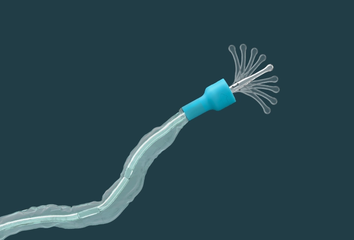 Flexible Tip